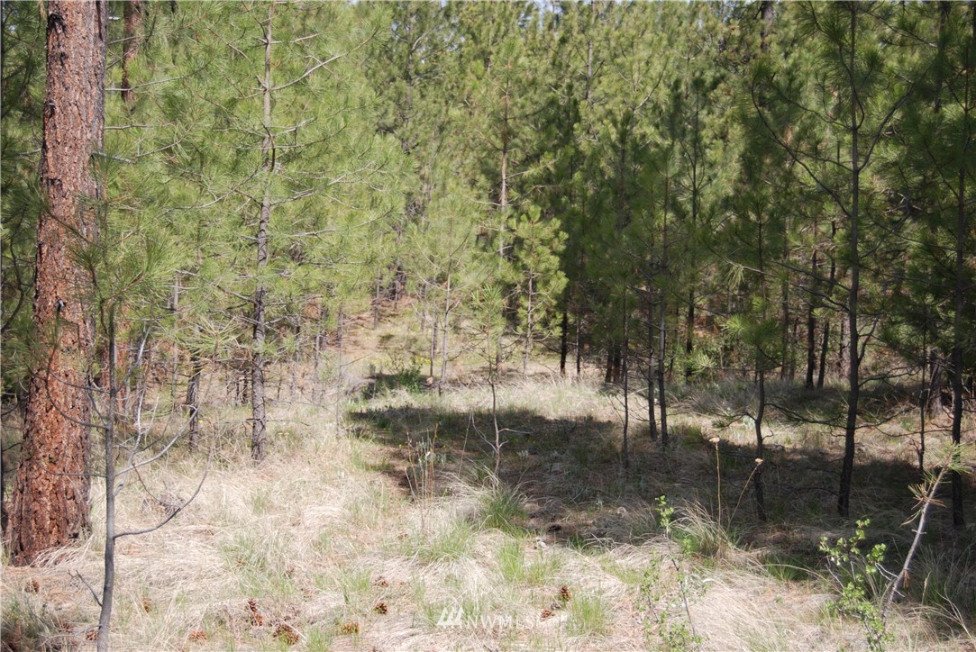 7 Chief Joseph Spur East Riverside, WA 98849 - Photo 11 of 18 Gallery Image 11