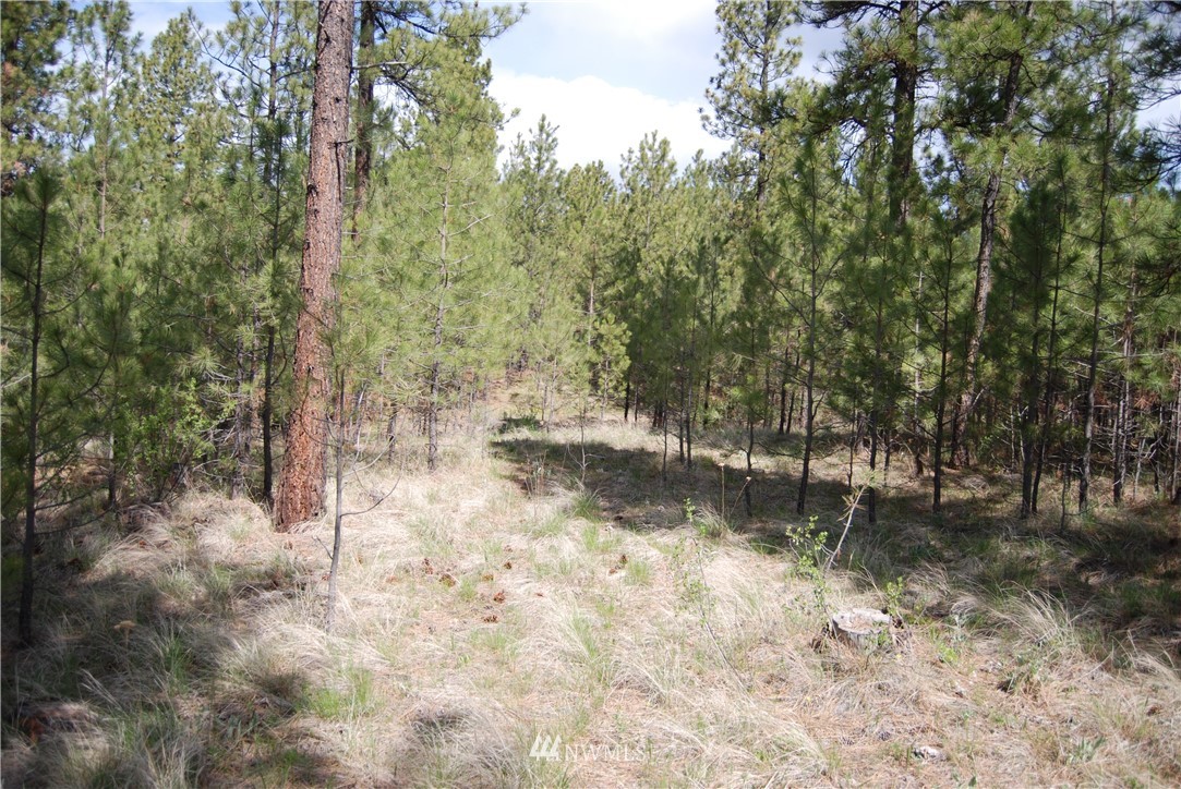 7 Chief Joseph Spur East Riverside, WA 98849 - Photo 12 of 18 Gallery Image 12