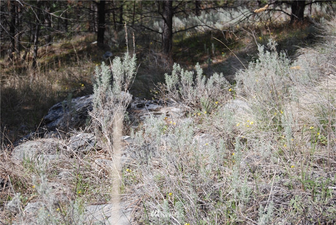 7 Chief Joseph Spur East Riverside, WA 98849 - Photo 13 of 18 Gallery Image 13