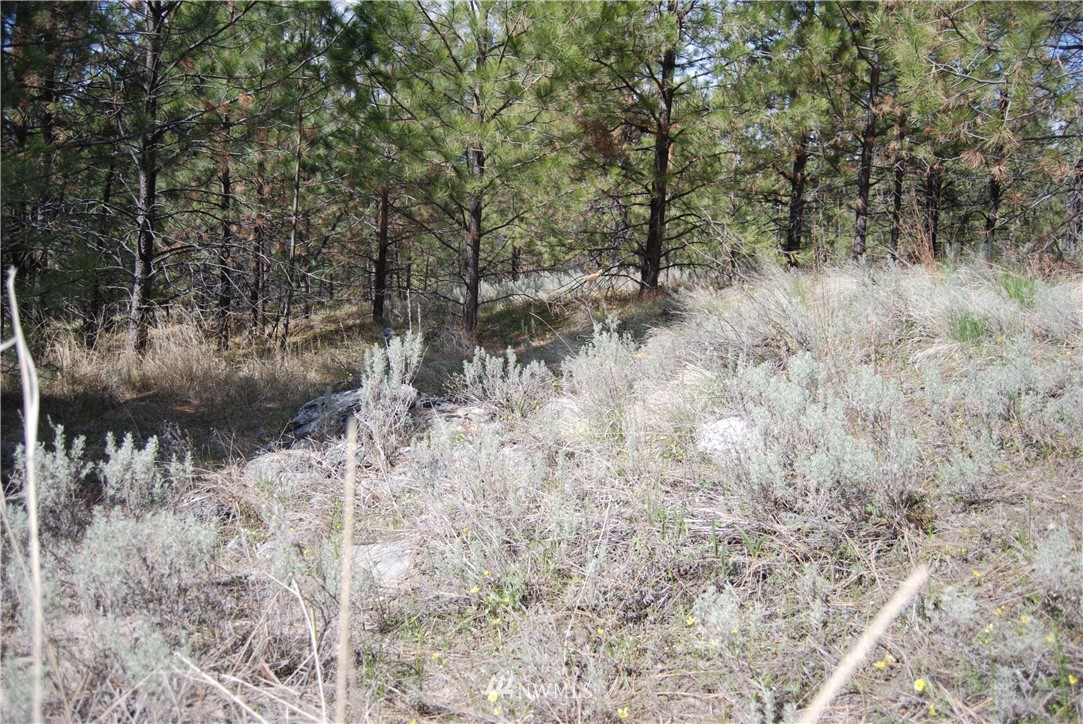 7 Chief Joseph Spur East Riverside, WA 98849 - Photo 14 of 18 Gallery Image 14