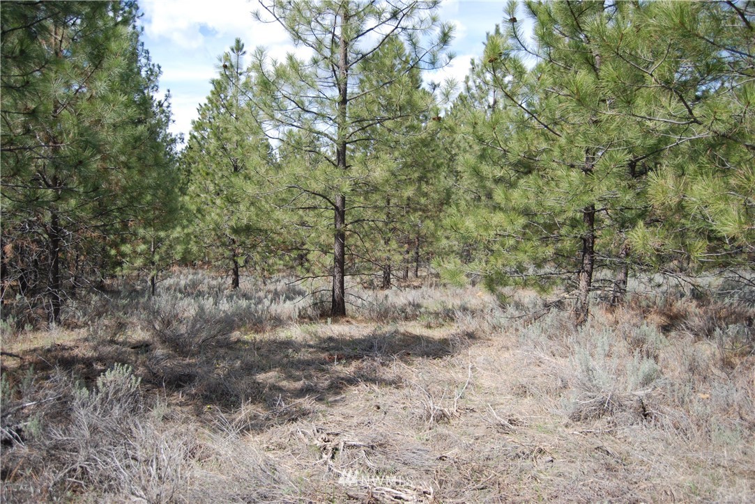 7 Chief Joseph Spur East Riverside, WA 98849 - Photo 15 of 18 Gallery Image 15