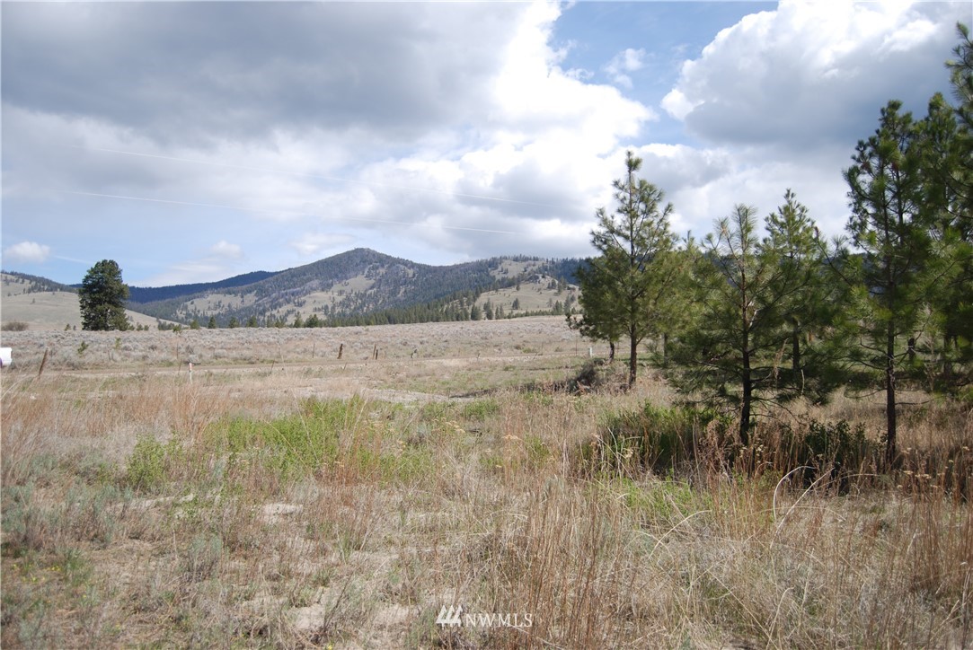 7 Chief Joseph Spur East Riverside, WA 98849 - Photo 16 of 18 Gallery Image 16