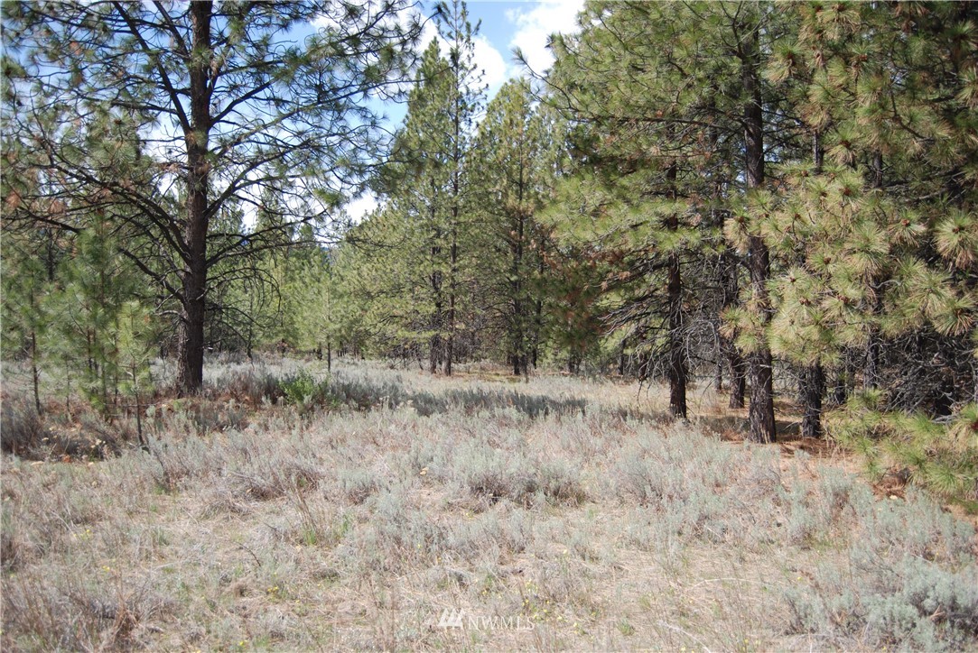 7 Chief Joseph Spur East Riverside, WA 98849 - Photo 18 of 18 Gallery Image 18