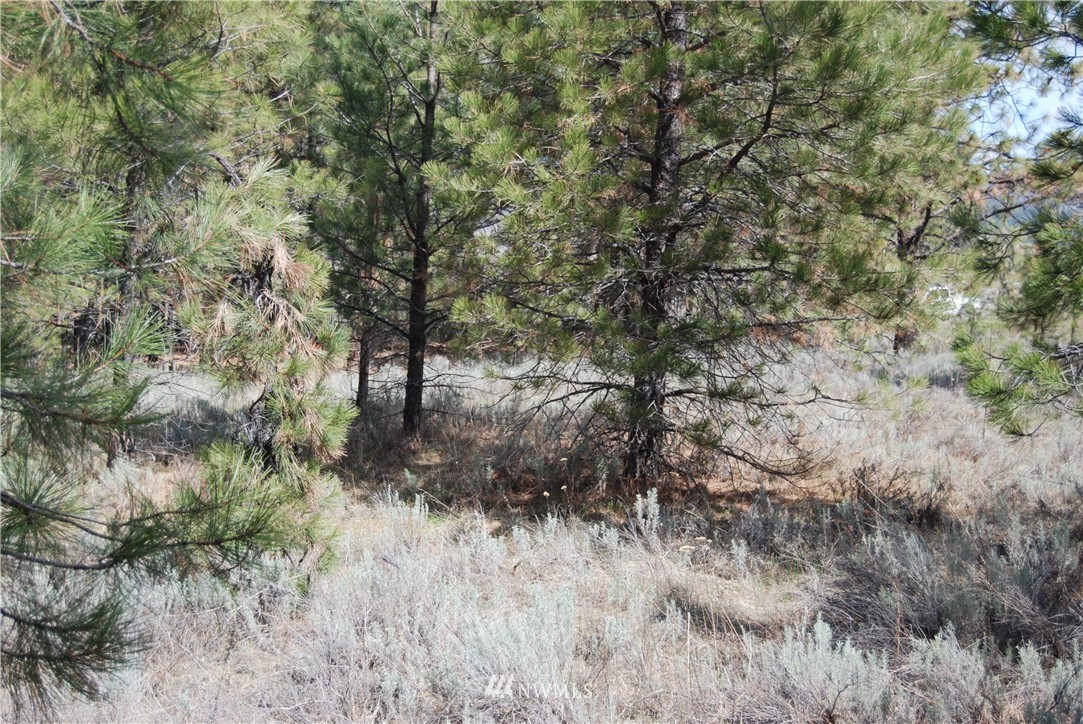 7 Chief Joseph Spur East Riverside, WA 98849 - Photo 3 of 18 Gallery Image 3