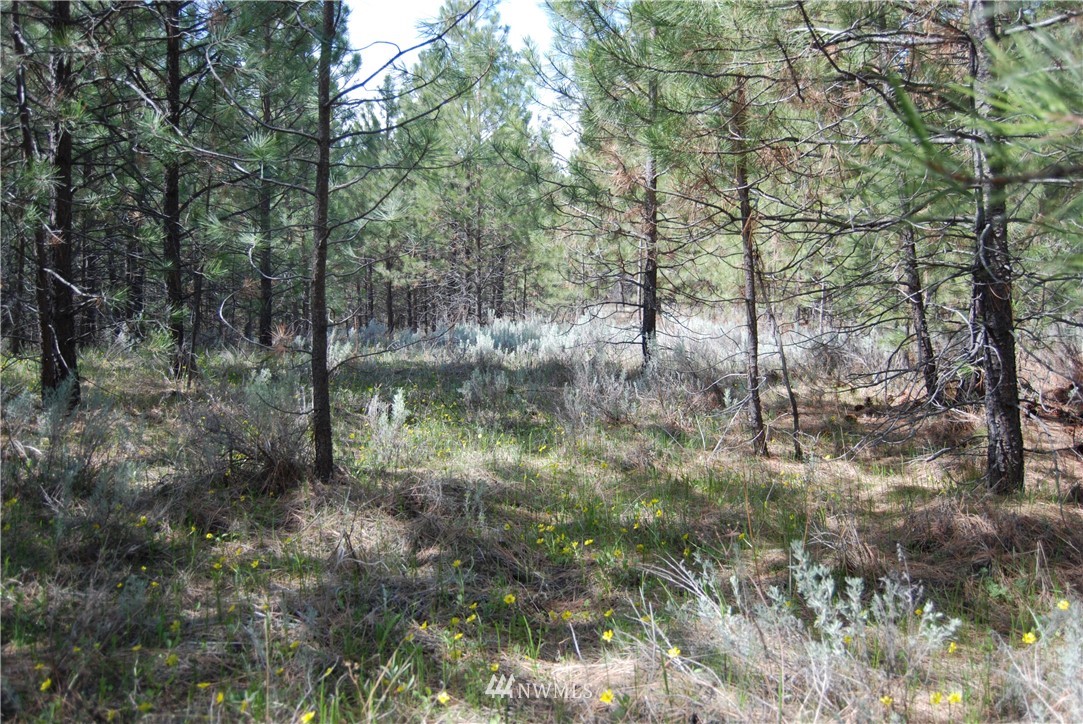 7 Chief Joseph Spur East Riverside, WA 98849 - Photo 5 of 18 Gallery Image 5