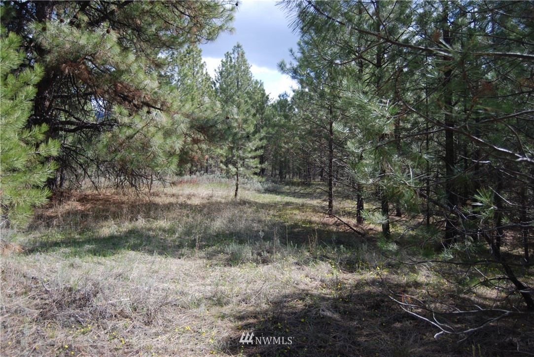 7 Chief Joseph Spur East Riverside, WA 98849 - Photo 6 of 18 Gallery Image 6