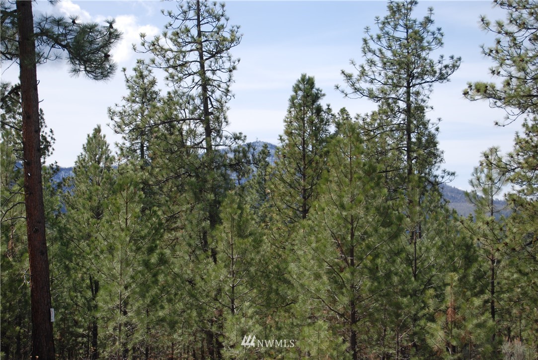 7 Chief Joseph Spur East Riverside, WA 98849 - Photo 7 of 18 Gallery Image 7
