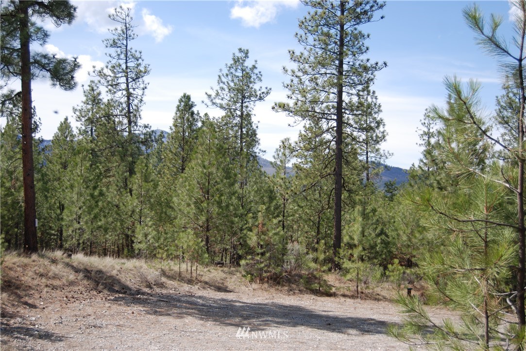 7 Chief Joseph Spur East Riverside, WA 98849 - Photo 8 of 18 Gallery Image 8