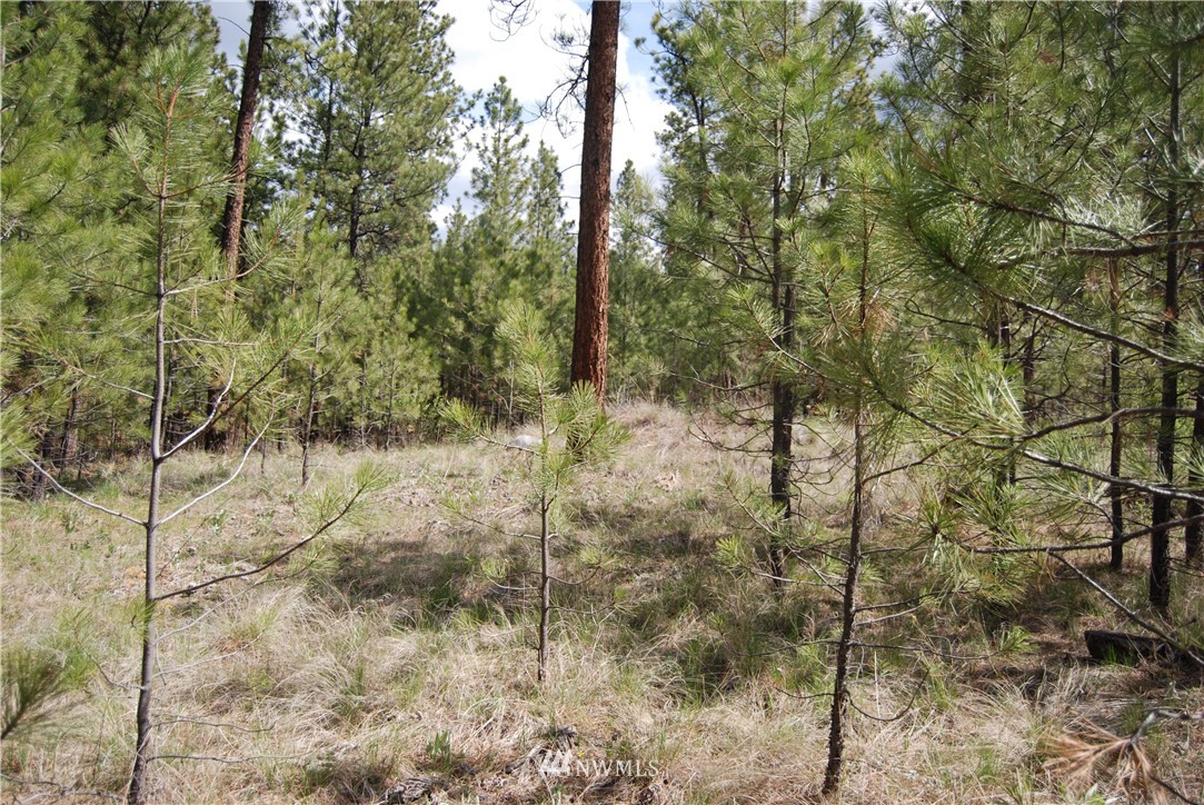 7 Chief Joseph Spur East Riverside, WA 98849 - Photo 9 of 18 Gallery Image 9
