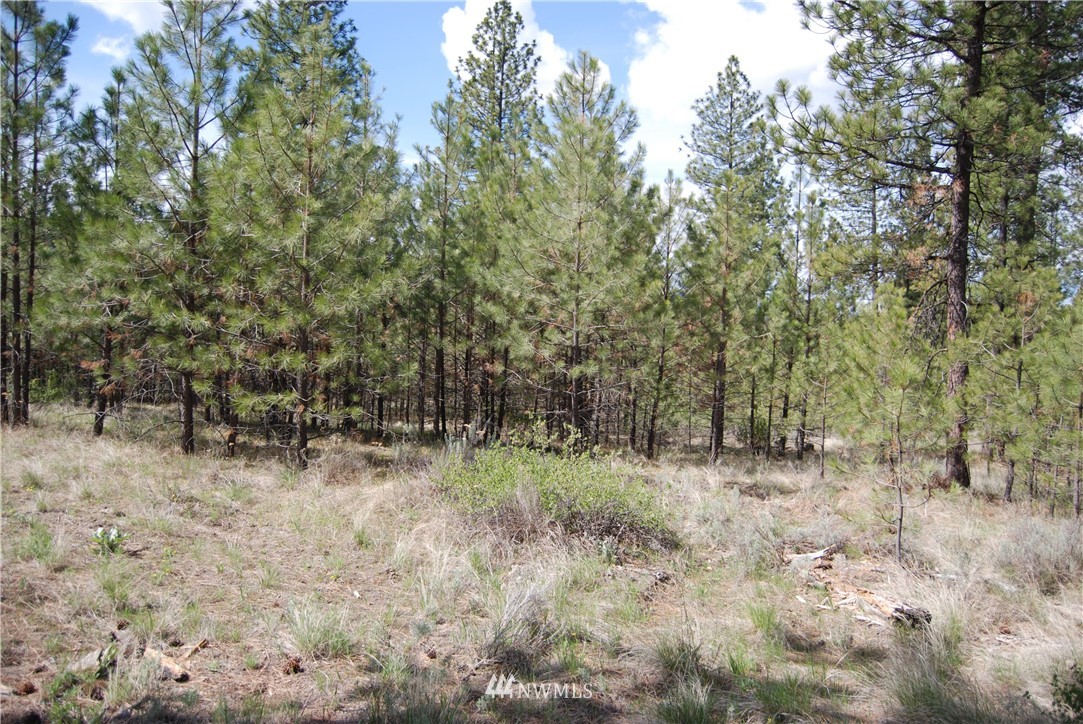 7 Chief Joseph Spur East Riverside, WA 98849 - Photo 10 of 18 Gallery Image 10