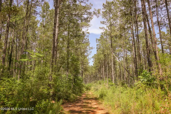 $475,000 | 0 Graves Road, Liberty, MS 39645