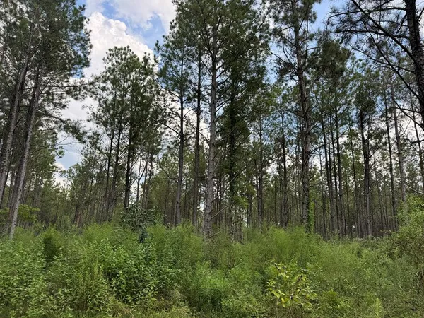 $475,000 | 0 Graves Road, Liberty, MS 39645