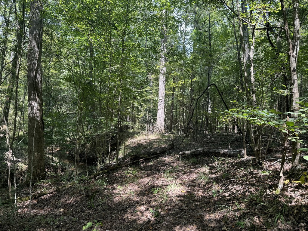 0 Graves Road Liberty, MS 39645 - Photo 11 of 50 Photo 11