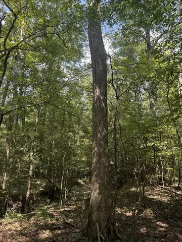 $475,000 | 0 Graves Road, Liberty, MS 39645