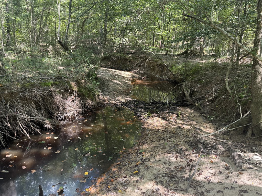 0 Graves Road Liberty, MS 39645 - Photo 14 of 50 Photo 14