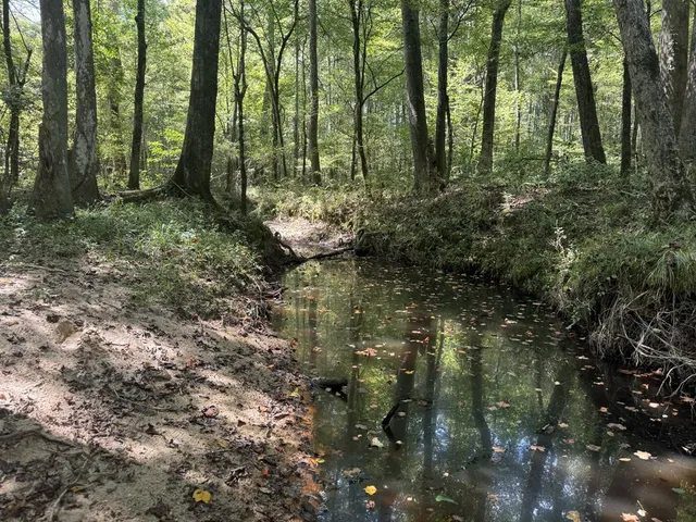 $475,000 | 0 Graves Road, Liberty, MS 39645