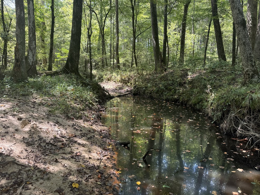 0 Graves Road Liberty, MS 39645 - Photo 15 of 50 Photo 15