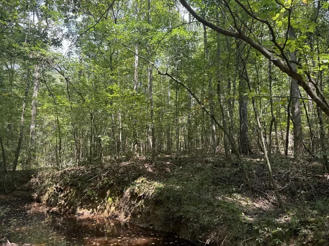 $475,000 | 0 Graves Road, Liberty, MS 39645