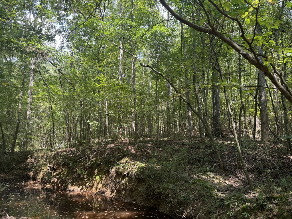 0 Graves Road Liberty, MS 39645 - Photo 16 of 50 Photo 16