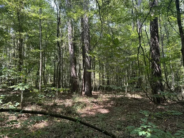 $475,000 | 0 Graves Road, Liberty, MS 39645