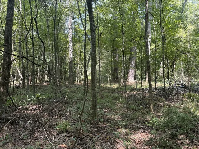 $475,000 | 0 Graves Road, Liberty, MS 39645