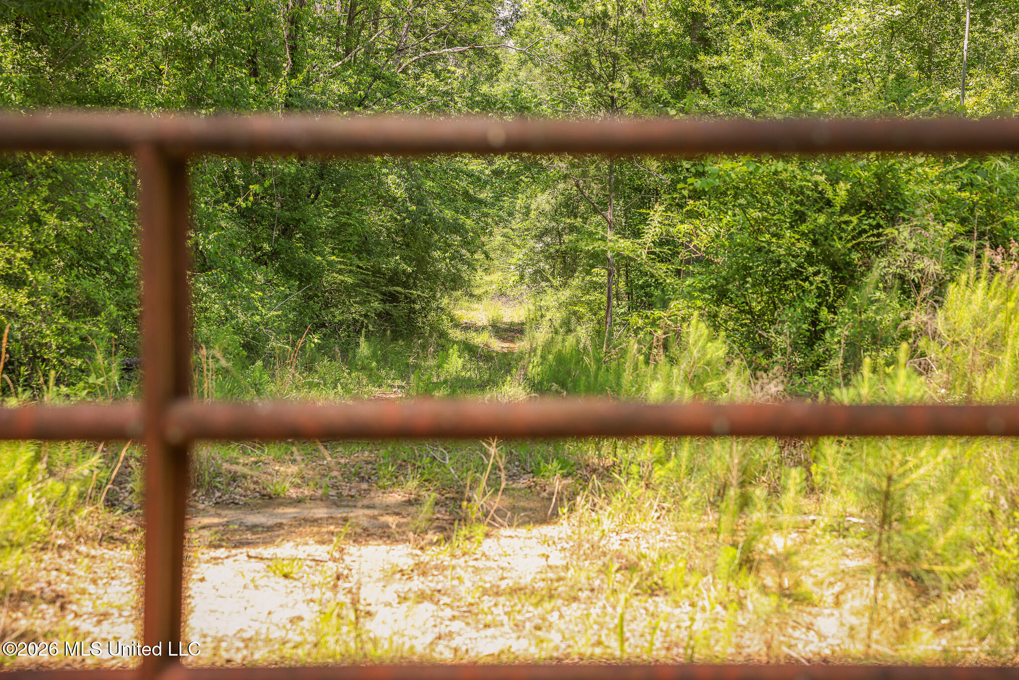 0 Graves Road Liberty, MS 39645 - Photo 2 of 46 EL0A0391