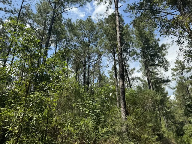 $475,000 | 0 Graves Road, Liberty, MS 39645