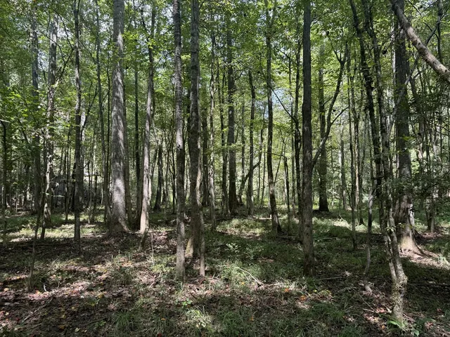 $475,000 | 0 Graves Road, Liberty, MS 39645