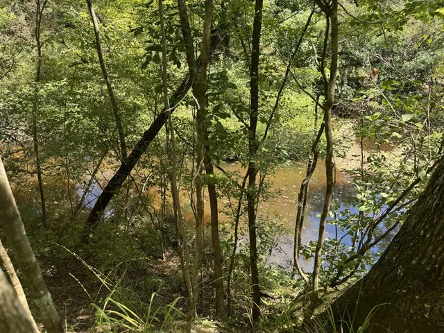 $475,000 | 0 Graves Road, Liberty, MS 39645