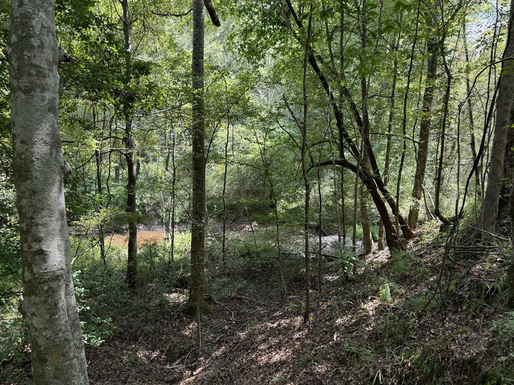 0 Graves Road Liberty, MS 39645 - Photo 26 of 50 Photo 26