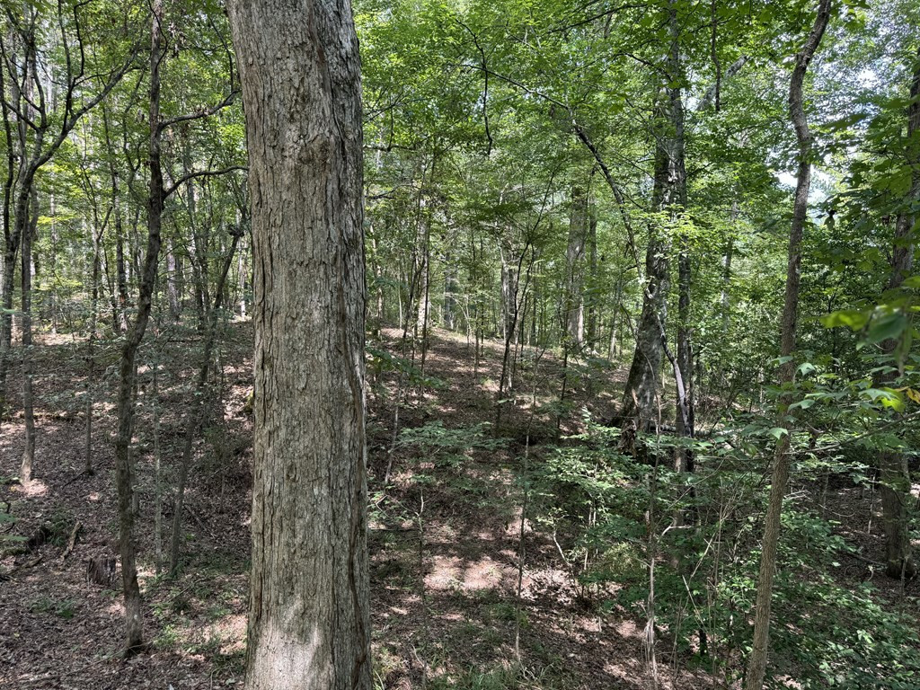 0 Graves Road Liberty, MS 39645 - Photo 27 of 50 Photo 27