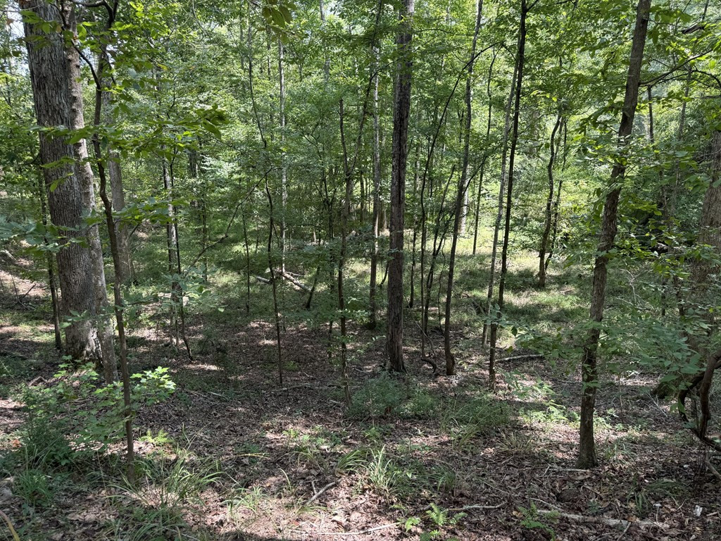 0 Graves Road Liberty, MS 39645 - Photo 28 of 50 Photo 28