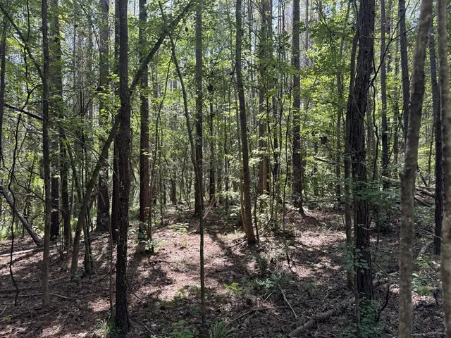 $475,000 | 0 Graves Road, Liberty, MS 39645