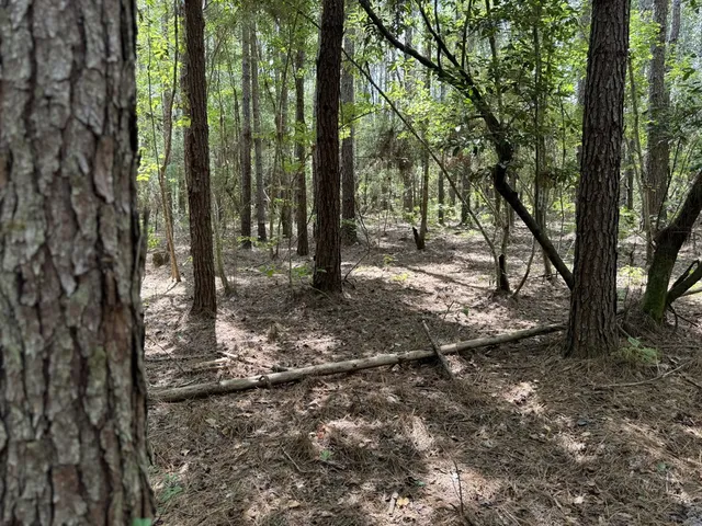 $475,000 | 0 Graves Road, Liberty, MS 39645