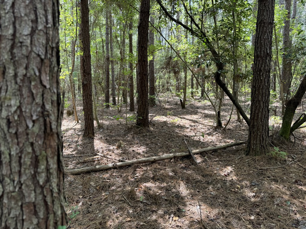 0 Graves Road Liberty, MS 39645 - Photo 30 of 50 Photo 30