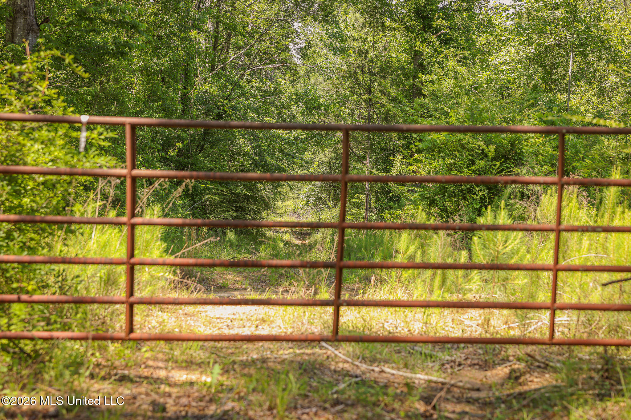 0 Graves Road Liberty, MS 39645 - Photo 3 of 46 EL0A0396