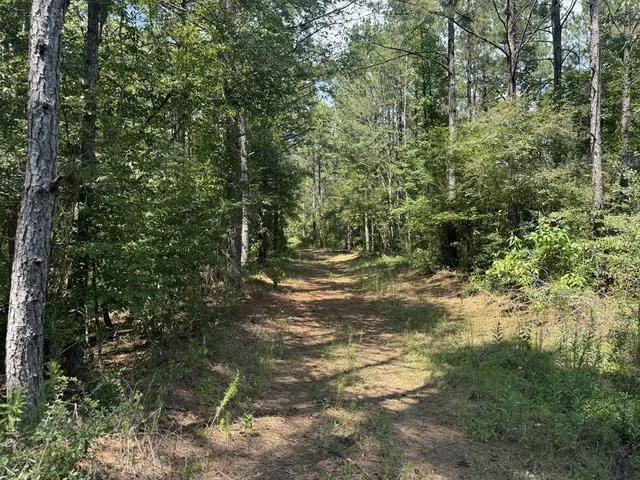 $475,000 | 0 Graves Road, Liberty, MS 39645