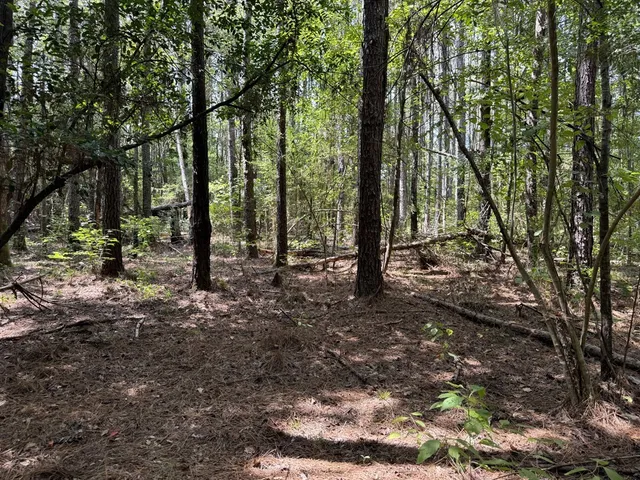 $475,000 | 0 Graves Road, Liberty, MS 39645