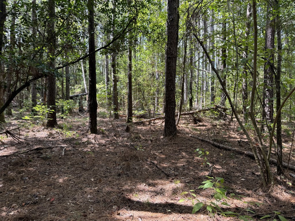 0 Graves Road Liberty, MS 39645 - Photo 31 of 50 Photo 31