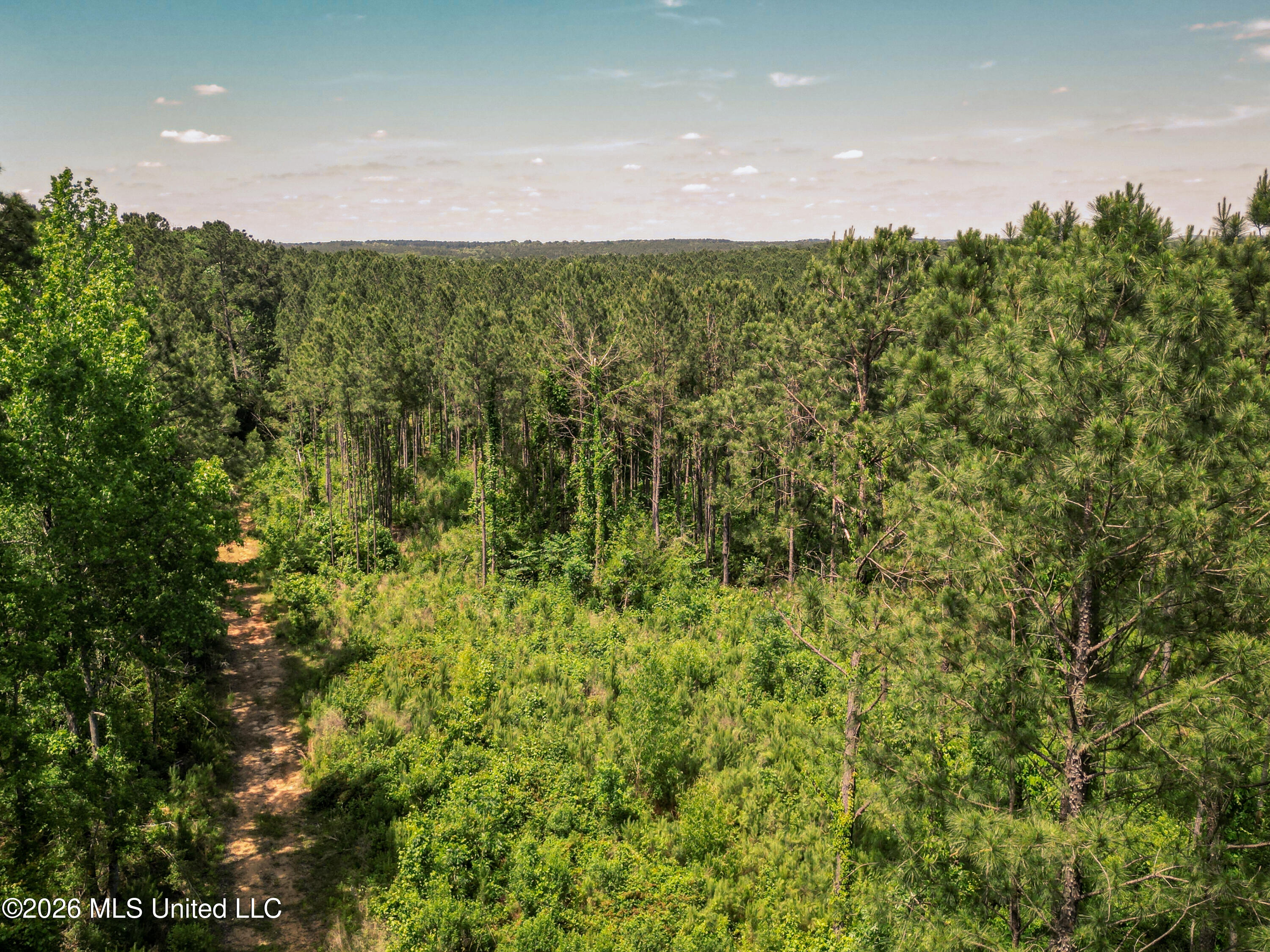 0 Graves Road Liberty, MS 39645 - Photo 33 of 46 DJI_0408