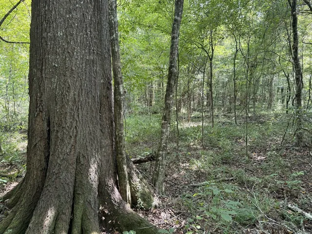 $475,000 | 0 Graves Road, Liberty, MS 39645