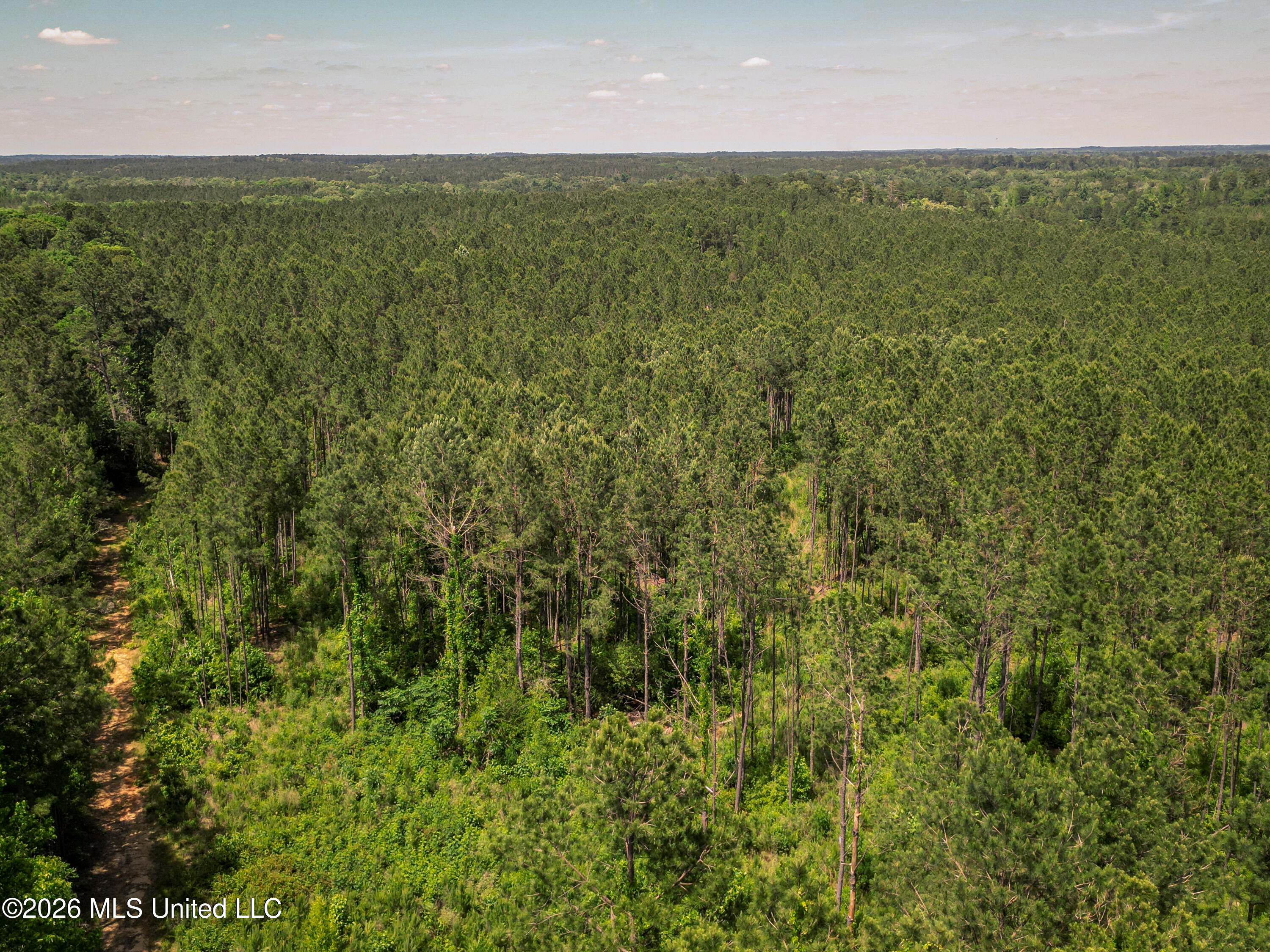 0 Graves Road Liberty, MS 39645 - Photo 34 of 46 DJI_0409