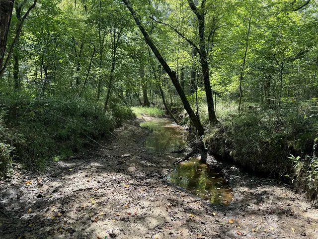 $475,000 | 0 Graves Road, Liberty, MS 39645