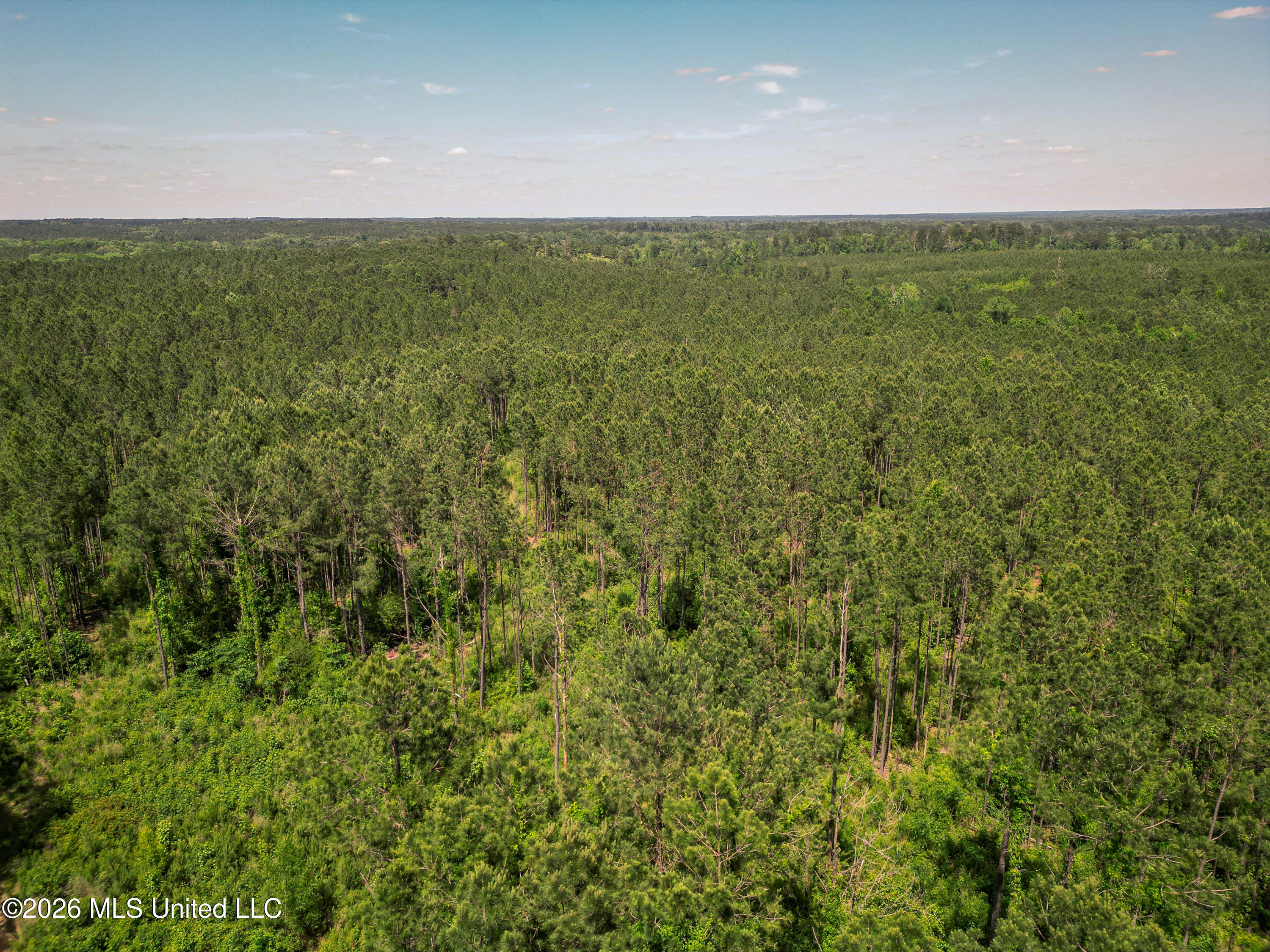 0 Graves Road Liberty, MS 39645 - Photo 35 of 46 DJI_0410