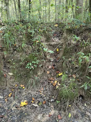 $475,000 | 0 Graves Road, Liberty, MS 39645