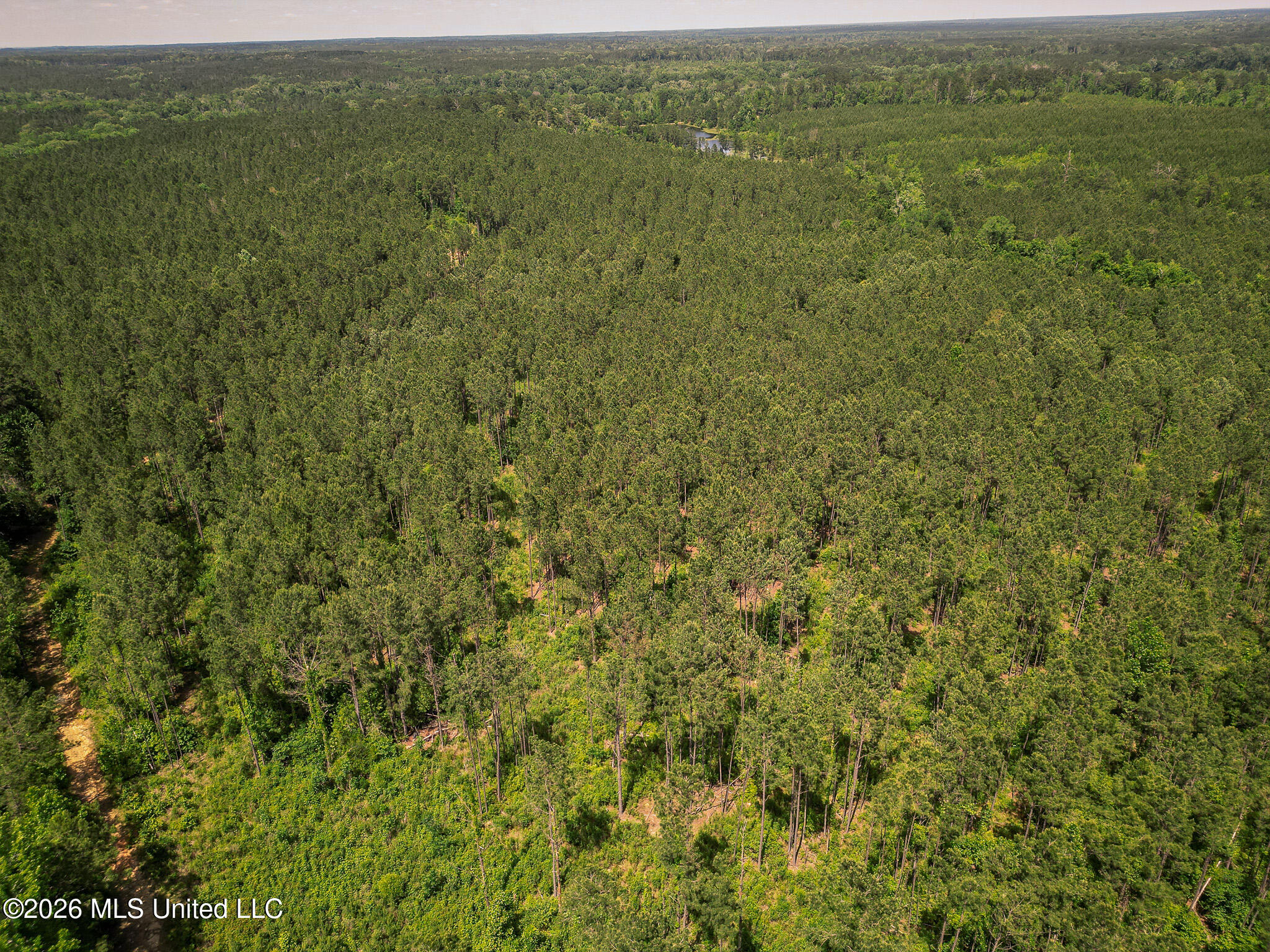 0 Graves Road Liberty, MS 39645 - Photo 36 of 46 DJI_0411