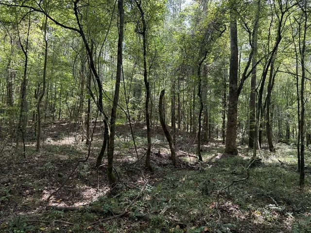 $475,000 | 0 Graves Road, Liberty, MS 39645