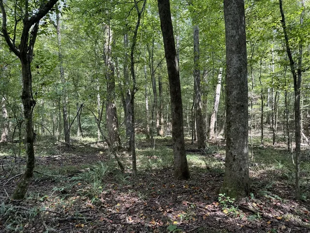 $475,000 | 0 Graves Road, Liberty, MS 39645