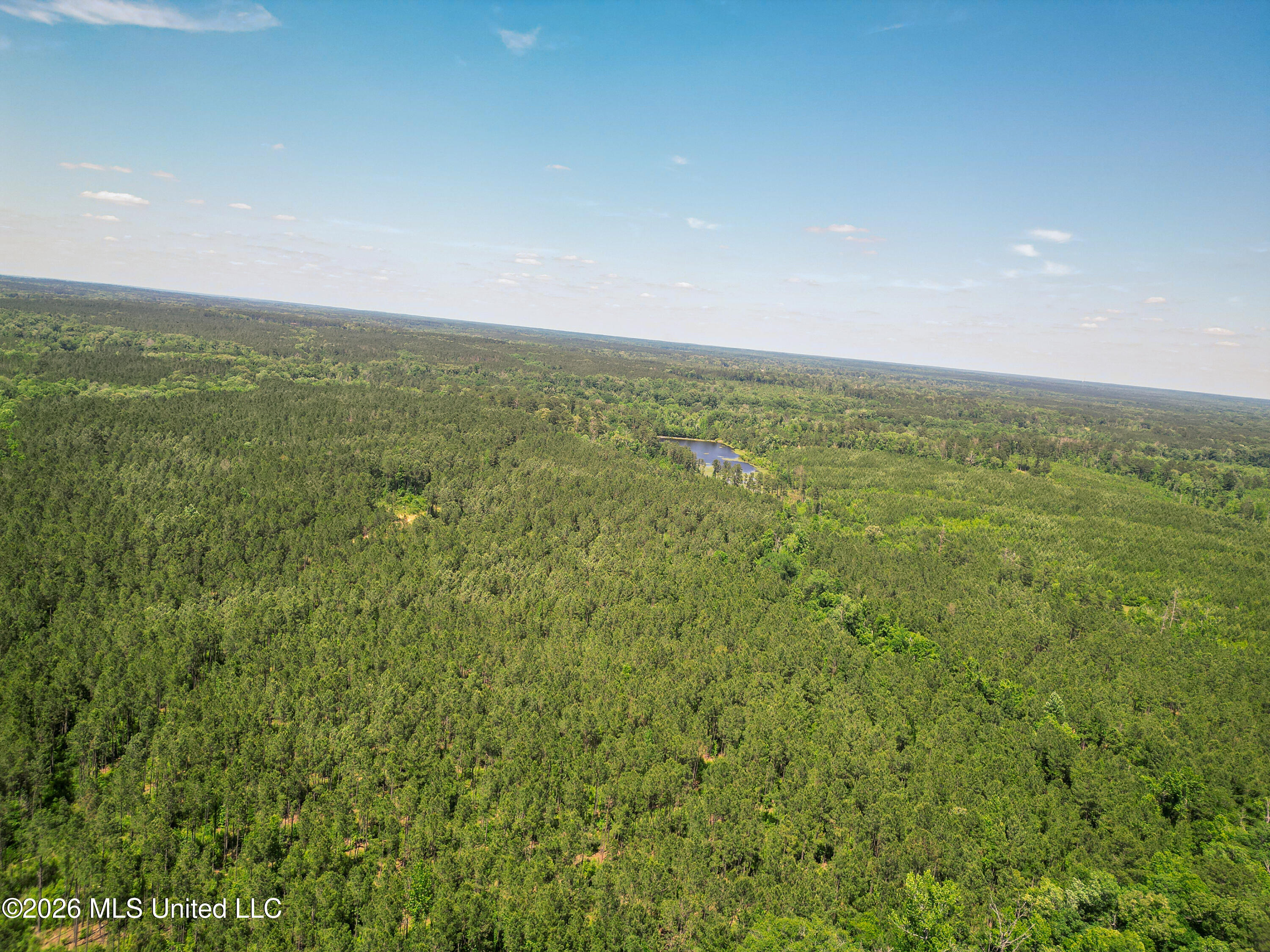 0 Graves Road Liberty, MS 39645 - Photo 37 of 46 DJI_0414