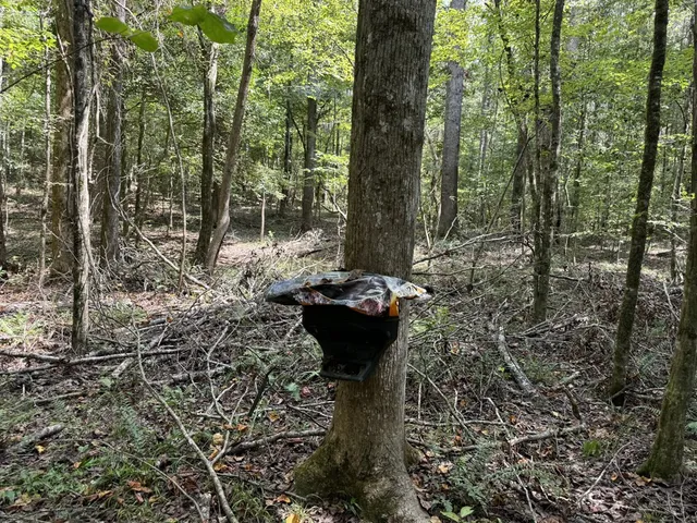 $475,000 | 0 Graves Road, Liberty, MS 39645